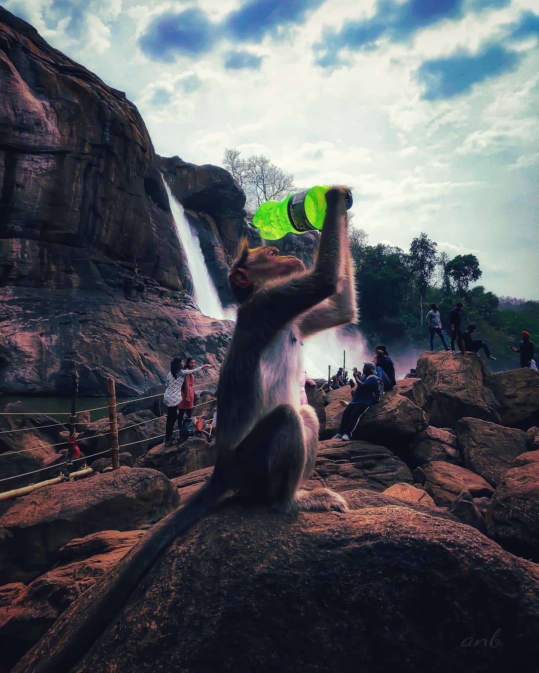 Mesmerizing Views of Kerala